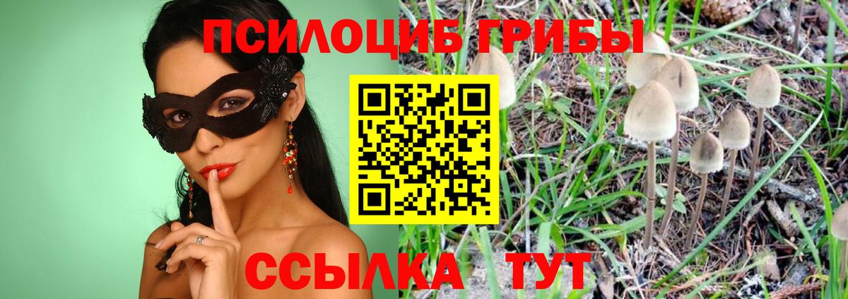 Галлюциногенные грибы прущие грибы  Галлюциногенные грибы Cubensis  Дивногорск  магазин    Вход с VPN 